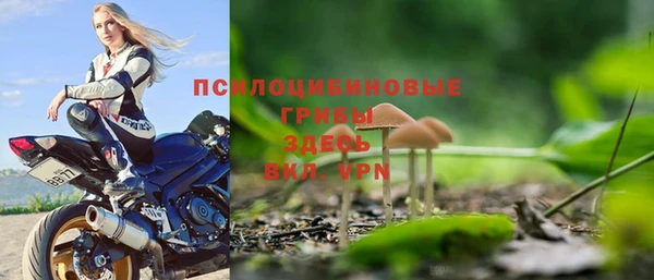 jwh Аркадак