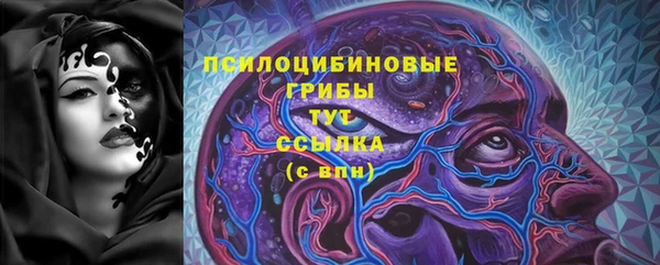 гидра Армянск
