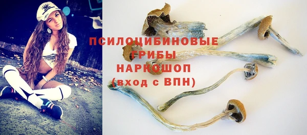 jwh Аркадак