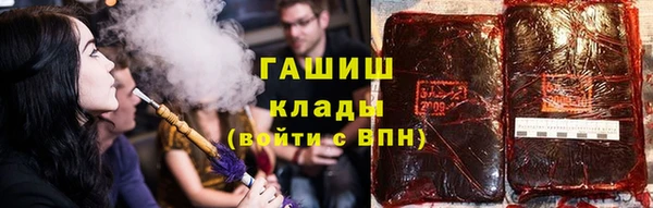 прущие грибы Елизово