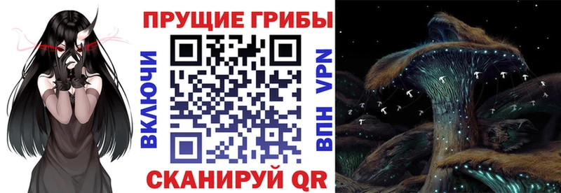 это клад  Первомайск  Галлюциногенные грибы мухоморы 
